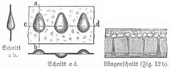 Fig. 12a. Schürmannsche Decke. Detail