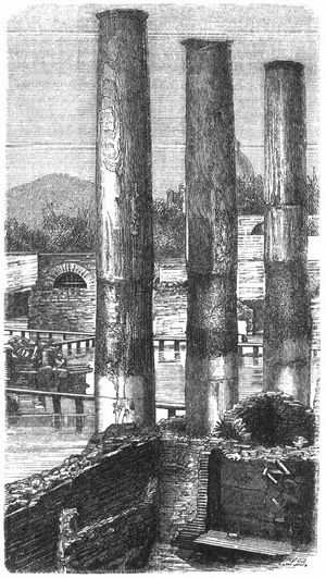 Fig. 1. Säulen des Serapistempels bei Pozzuoli mit den Spuren der Bohrmuscheln.