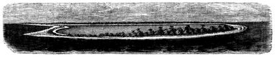 Fig. 2. Ansicht eines echten Atolls. (Nach Dana.)