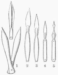 Lanzette. 1 Bewegliche Schalen, aus denen die oberhalb abgebildete Klinge herausgenommen ist; 2,3 und 4 verschiedene Formen der Lanzette; 5 Impflanzette.