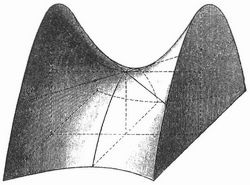 Fig. 2. Hyperbolisches Paraboloid.