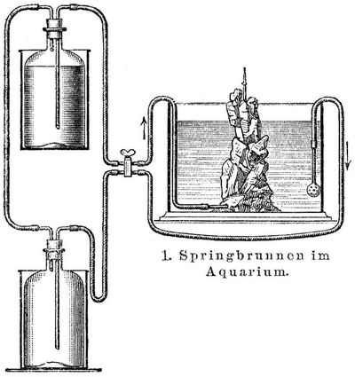 1. Springbrunnen im Aquarium.