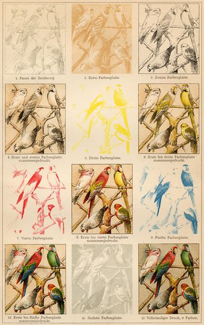 Lithographischer Farbendruck. Reihenfolge eines Farbendruckes mit 6 Farben: Fig. 1, 2, 3, 5, 7, 9, 11; Zusammendruck: Fig. 4, 6, 8, 10 u. 12.