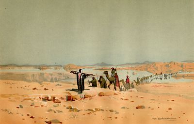 Luftspiegelungsgewässer in der Wüste.